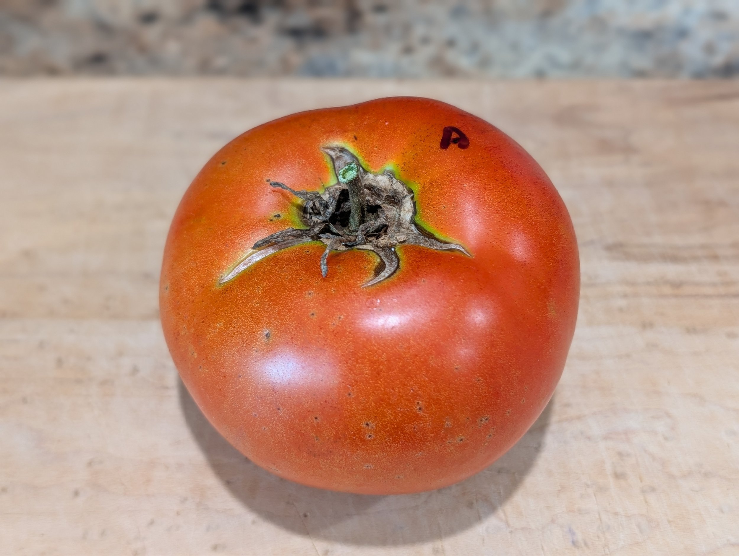 Craig LeHoullier - 2025 Garden Review - Part 2. Tomatoes - Old
